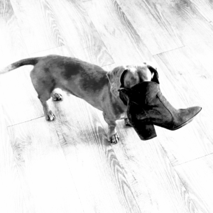 Drugi produkt testowy